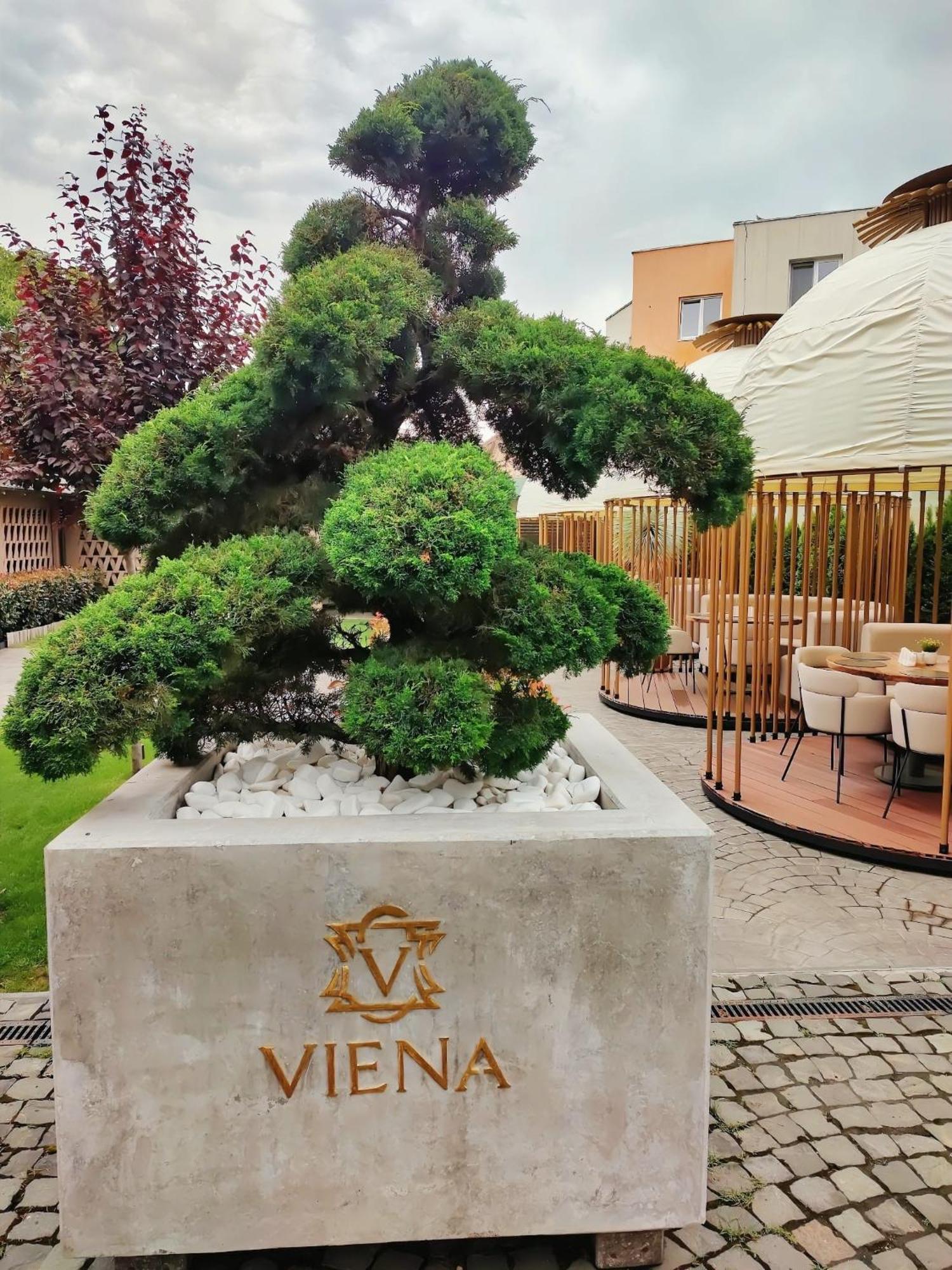 Hotel Viena Satu Mare Luaran gambar